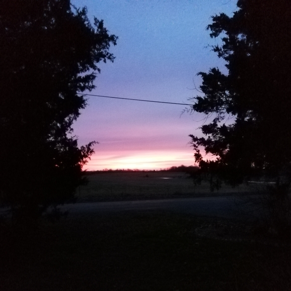 Meet your Posher, Pamela - Picture 4 of 4